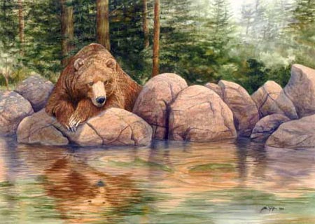 grizzly bear watching fish