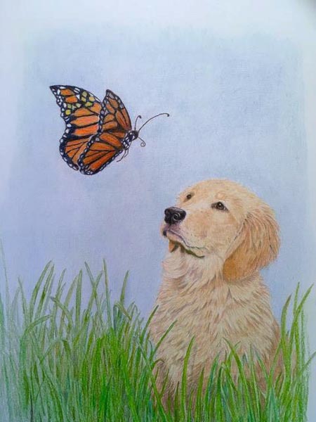 Golden retriever with butterfly