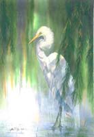 Giant Egret