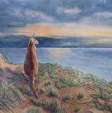 Kangaroo overlooking sea at sunset