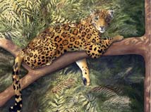 jaguar on branch
